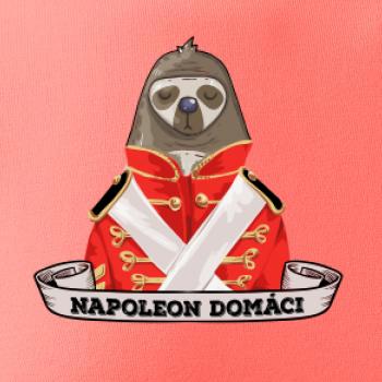 Napoleon domáci leňochod SK