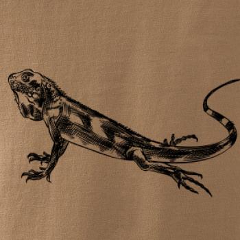 Ceruzkou kreslený Leguán