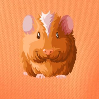 Morča - kreslené spredu