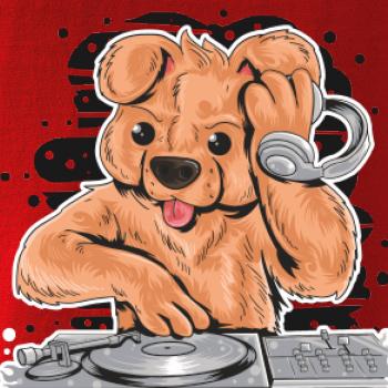 DJ Teddy DJ Teddy