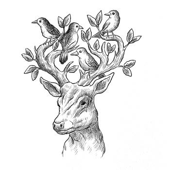 Jeleň ochranca prírody