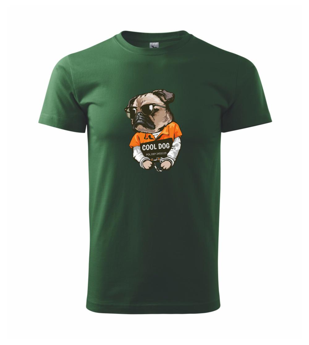 Mops výtržník Mops výtržník