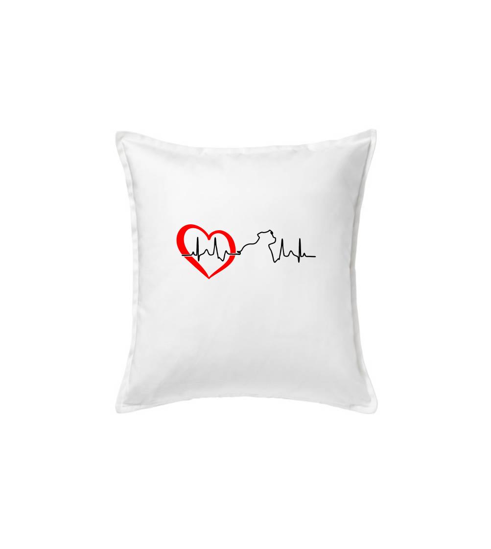 Stafordšírsky bulteriér  EKG Stafordšírsky bulteriér  EKG