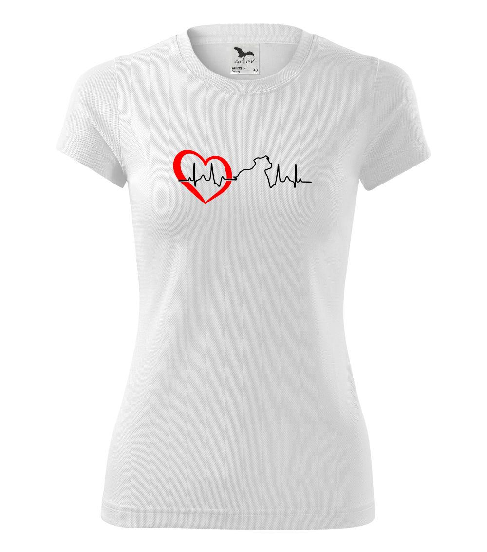 Stafordšírsky bulteriér  EKG Stafordšírsky bulteriér  EKG