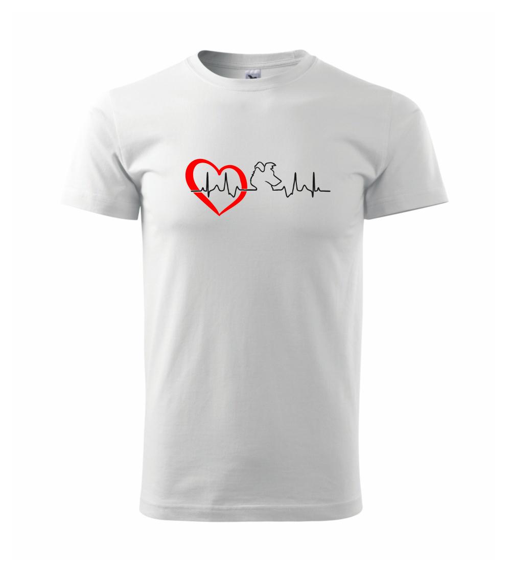 Borderská kólia EKG Borderská kólia EKG