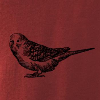 Ceruzkou kreslený Papagáj