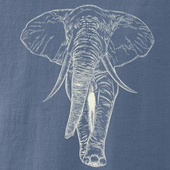 Slon vo farbe slonovej kosti