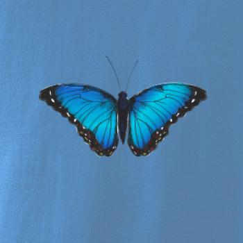 Motýľ Babôčka Morpho Peleides