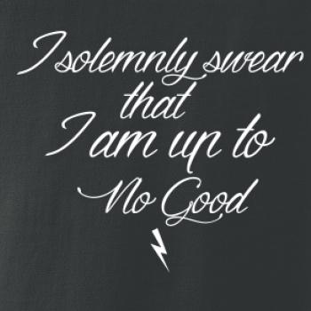 I solemnly swear that I'm up to no good