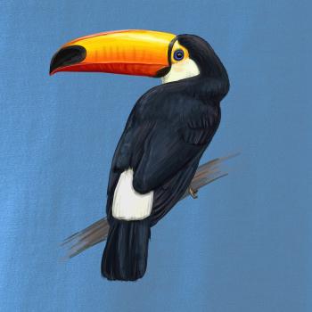 Tukan kreslený Tukan kreslený