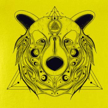 Medveď v trojuholníku