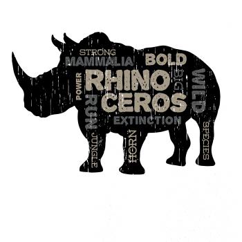 Rhino power