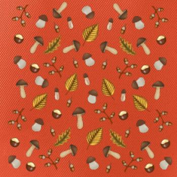 Huby na jeseň Huby na jeseň