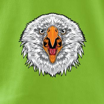  Hlava rozhnevaného orla