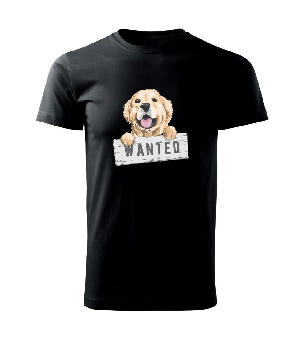 Zlatý retriever - šteniatko wanted Zlatý retriever - šteniatko wanted