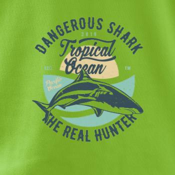 Dangerous Shark