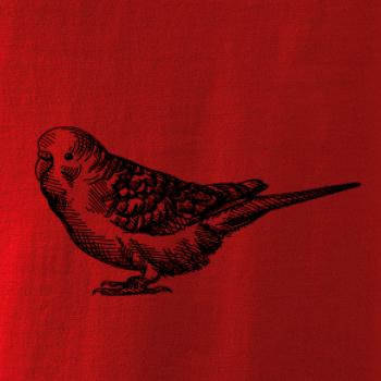 Ceruzkou kreslený Papagáj