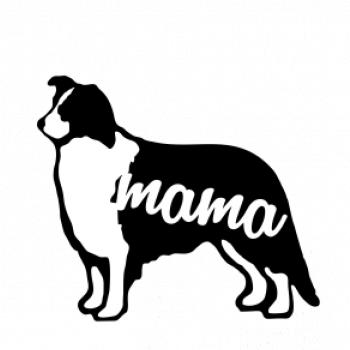 Border kolie mama obrys SK Border kolie mama obrys SK