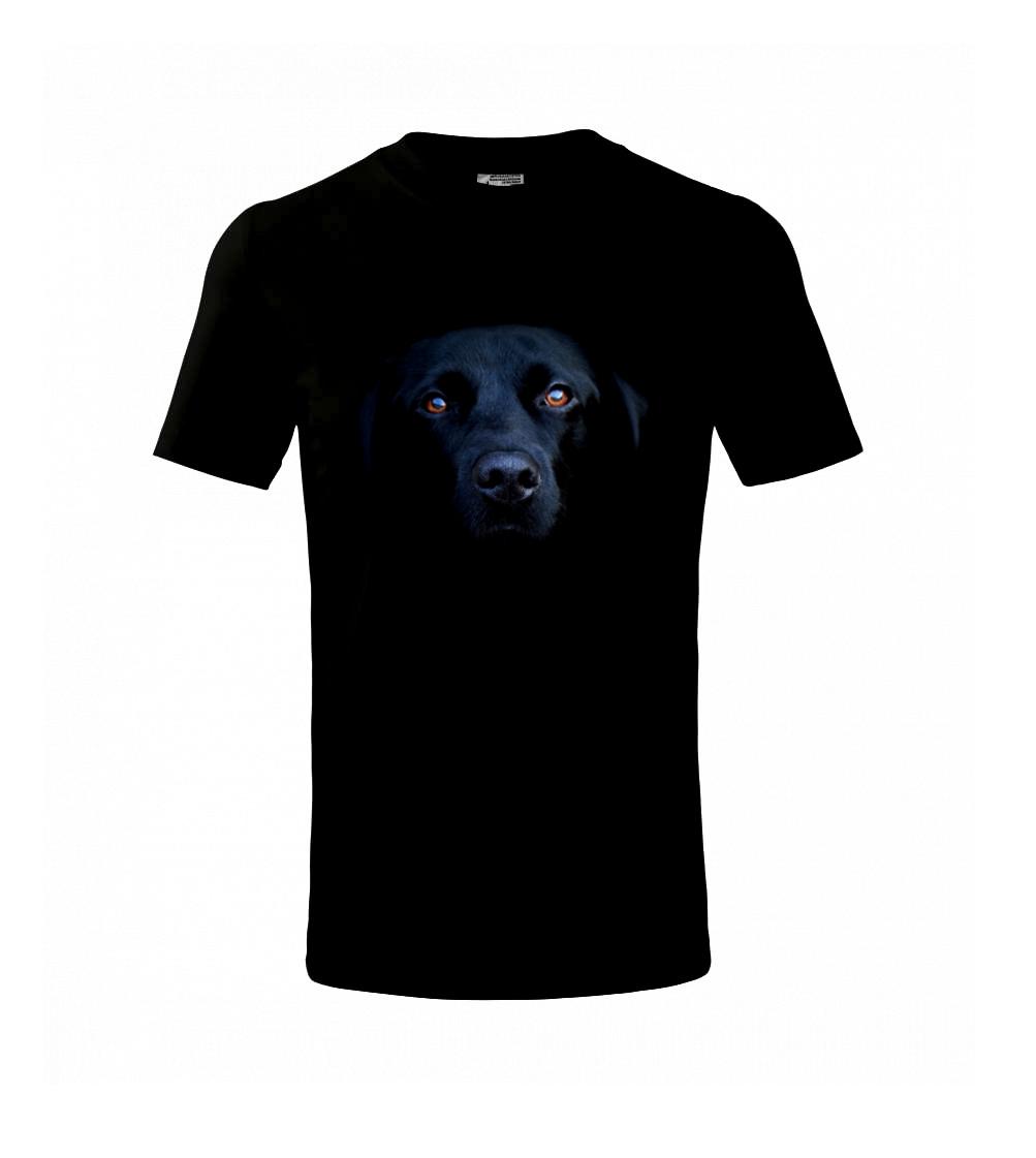 Čierny Labrador fotka Čierny Labrador fotka