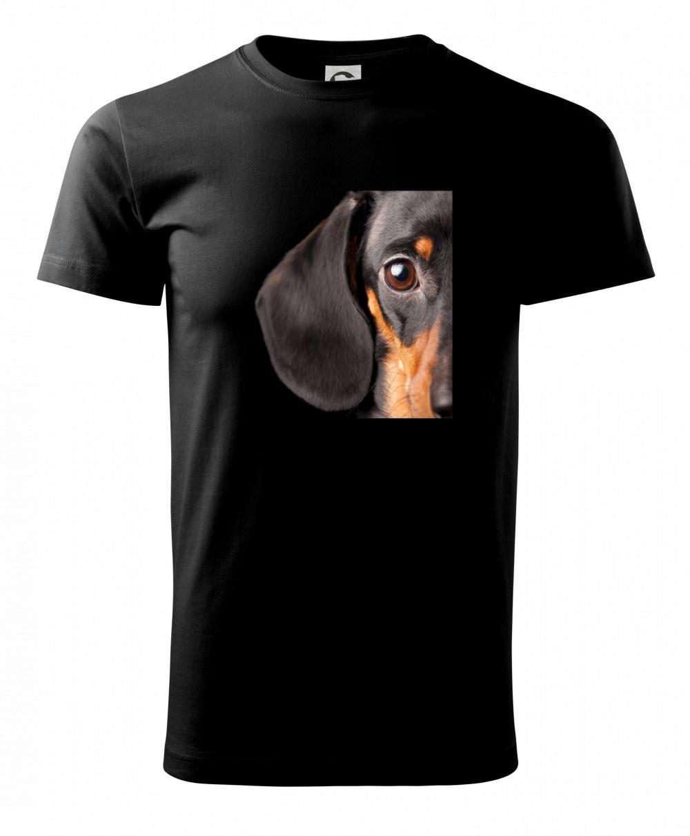 Jazvečíkovo oko Jazvečíkovo oko