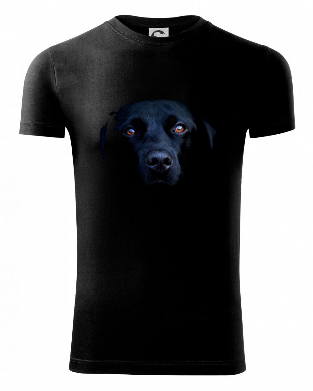 Čierny Labrador fotka Čierny Labrador fotka