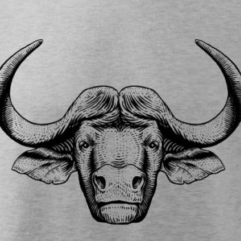 Hlava býka kreslená