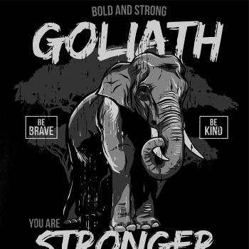 Elephant goliath