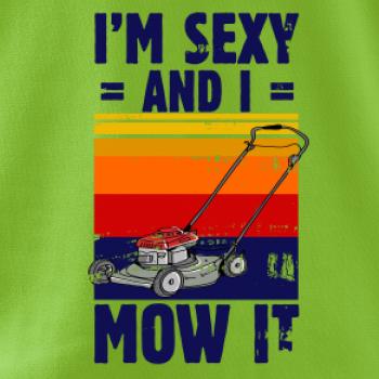 I'm sexy and i mow it I'm sexy and i mow it