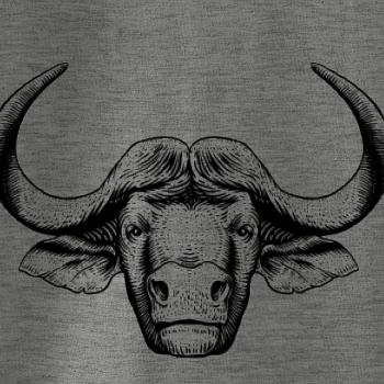 Hlava býka kreslená Hlava býka kreslená