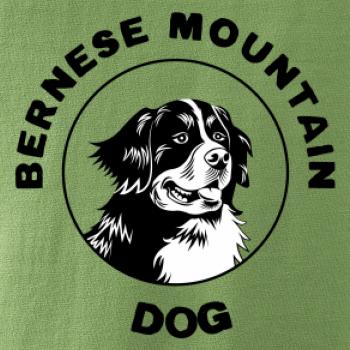 Bernese mountain dog v kruhu