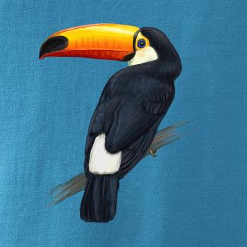 Tukan kreslený Tukan kreslený