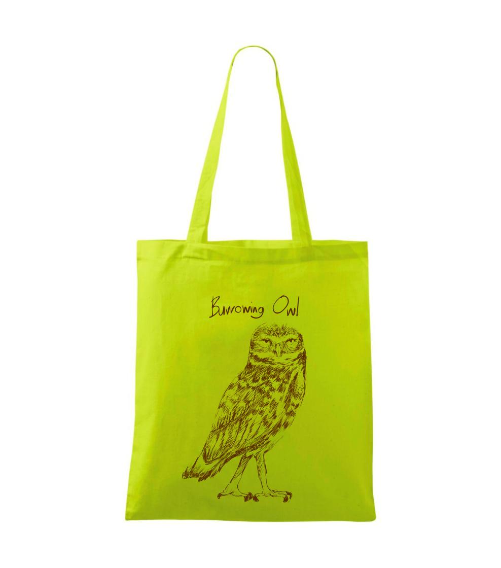 Kuvik zemný burrowing owl