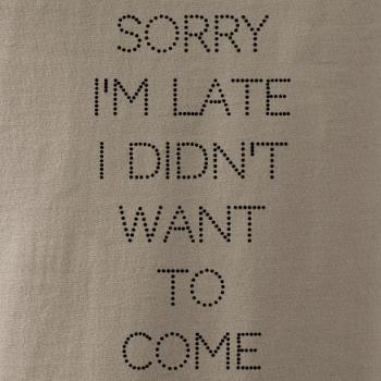 Sorry I am late i didn't want to come