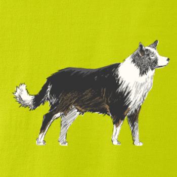 Border kólia kreslená Border kólia kreslená