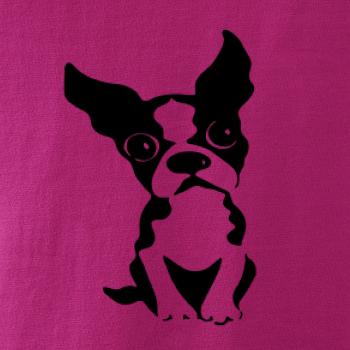 Bostonský teriér Bostonský teriér