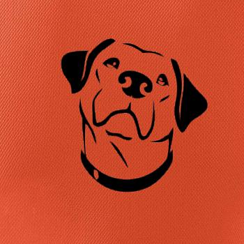 Labrador obrys