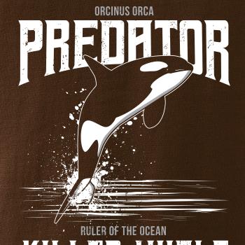 Orca predator