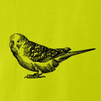 Ceruzkou kreslený Papagáj