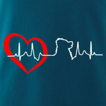 Bernský salašnický pes EKG