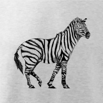 Zebra kreslená