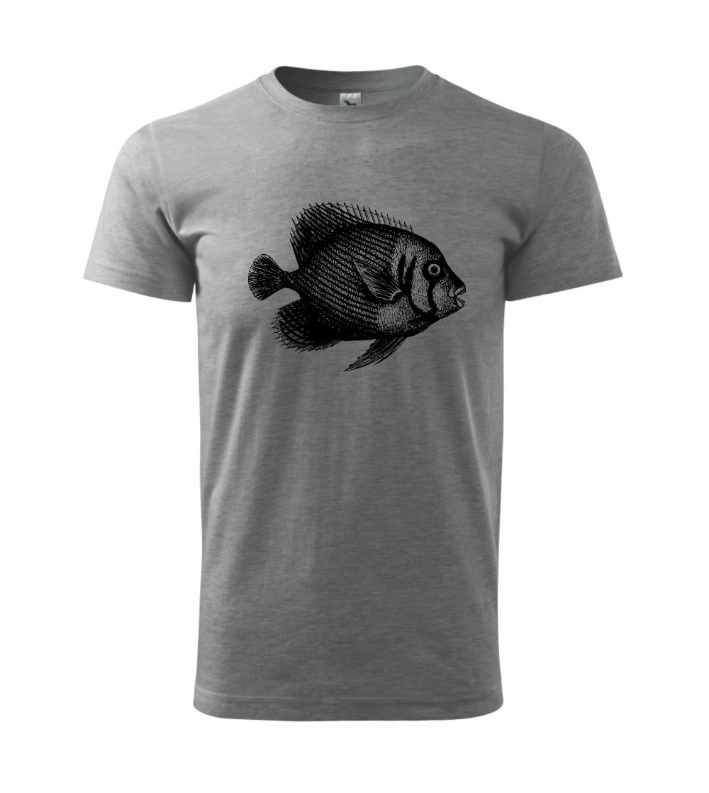 Morská ryba kreslená Morská ryba kreslená