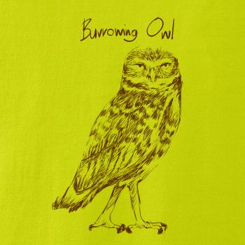 Kuvik zemný burrowing owl