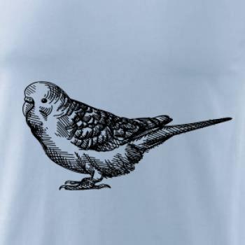 Ceruzkou kreslený Papagáj