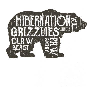 Bear hiber Bear hiber