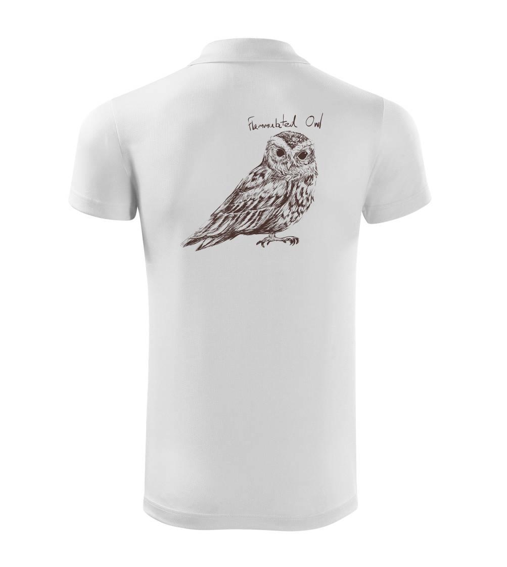 Výrček ohnivý  flammulated owl Výrček ohnivý  flammulated owl