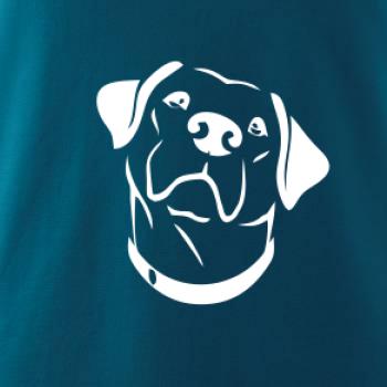 Labrador obrys