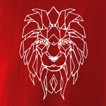 Geometria - lev tvár Geometria - lev tvár