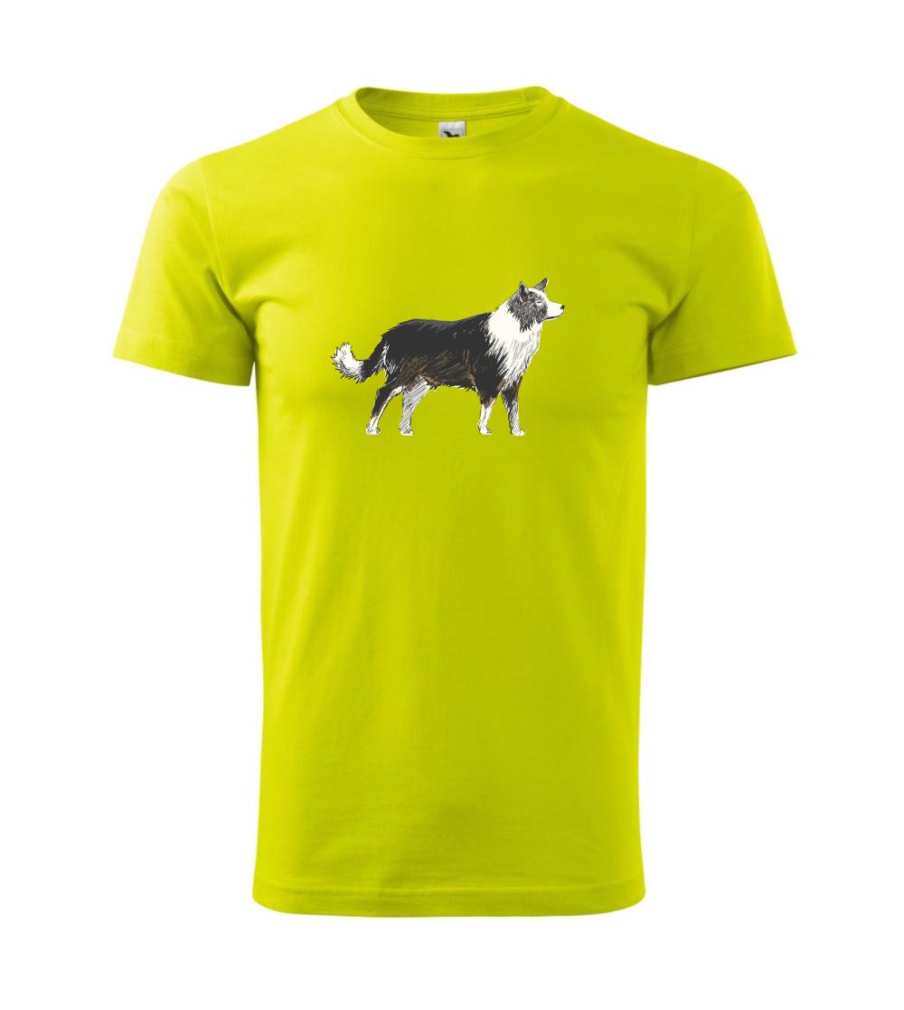 Border kólia kreslená Border kólia kreslená