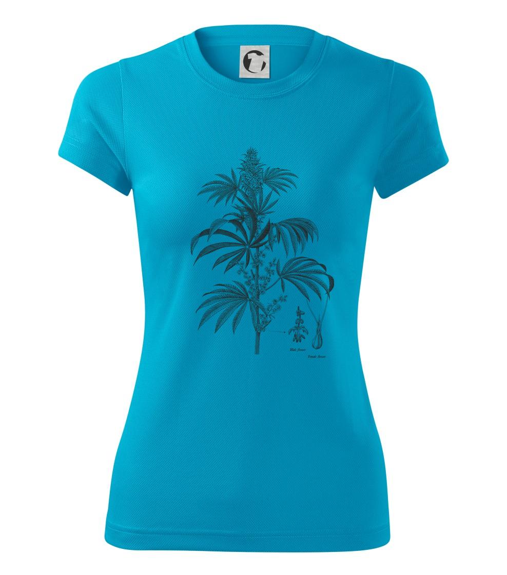 Konope kvietok čiernobiely   Konope kvietok čiernobiely