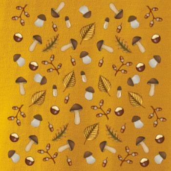 Huby na jeseň Huby na jeseň